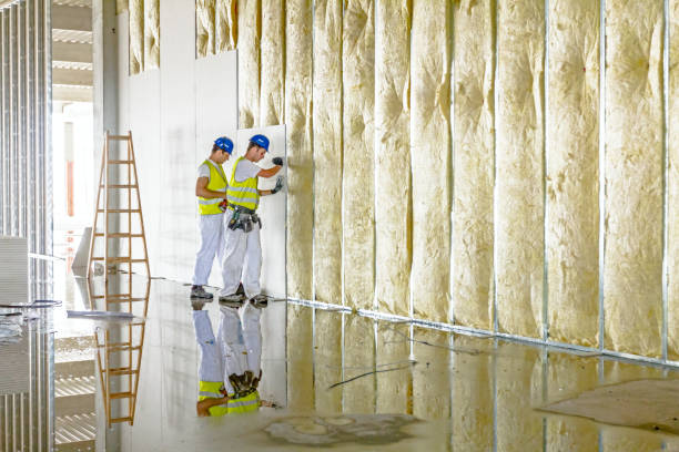 Best Residential Insulation in Parkersburg, IA